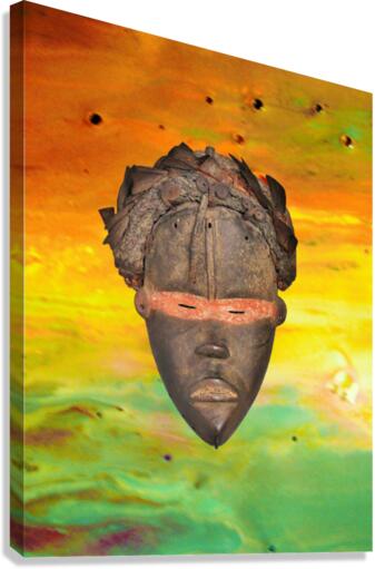 239 Canvas Print