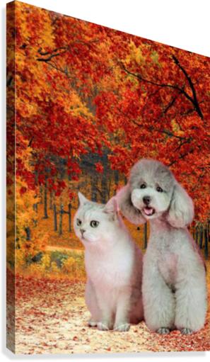 241 Canvas Print