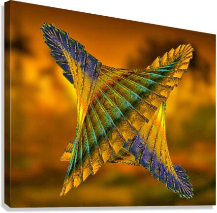 242 Canvas Print