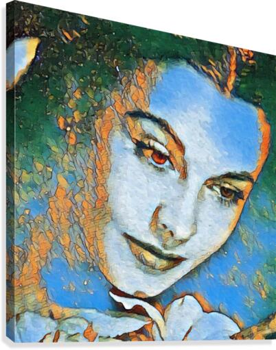 253 Canvas Print