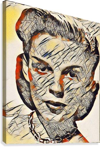 264 Canvas Print