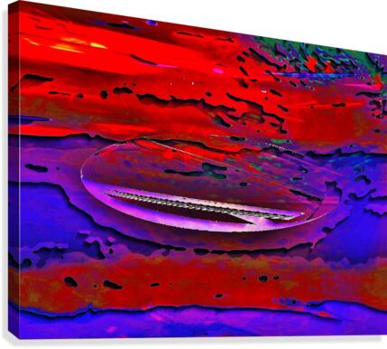 267 Canvas Print