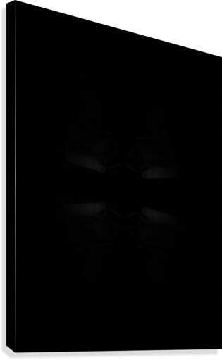 280 Canvas Print