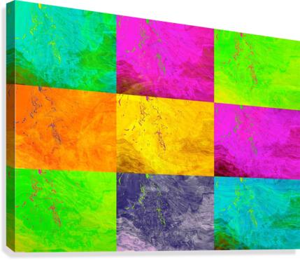 288 Canvas Print
