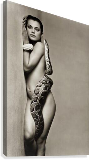 290 Canvas Print