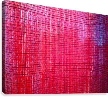 293 Canvas Print