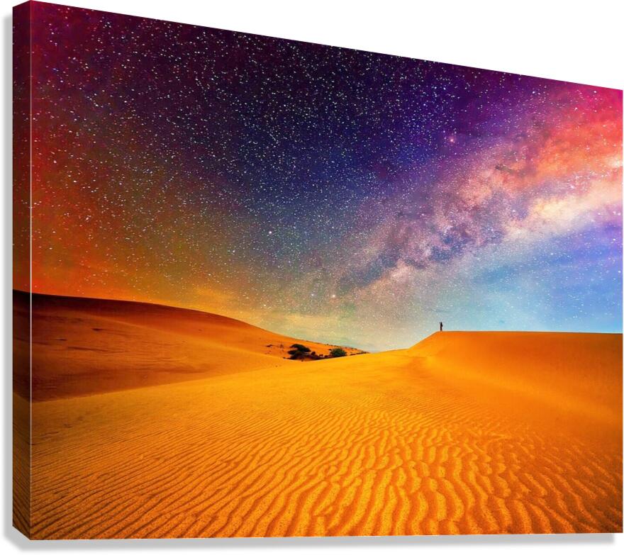 323 Canvas Print