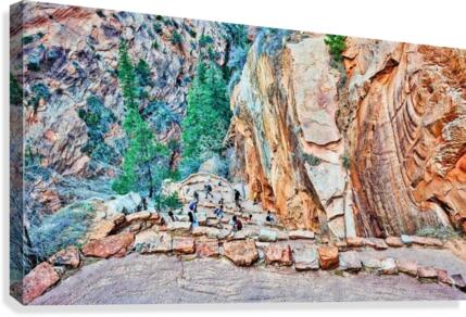 336 Canvas Print