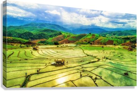 337 Canvas Print