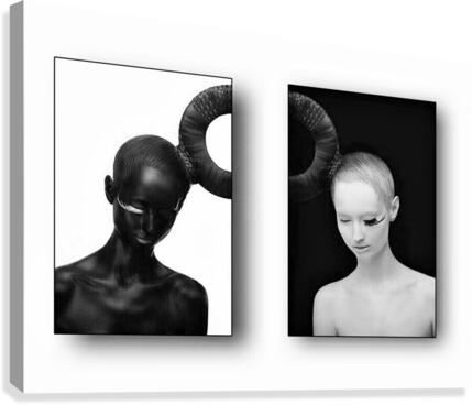 351 Canvas Print