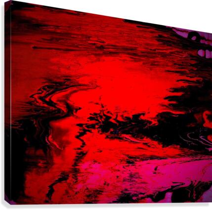 355 Canvas Print