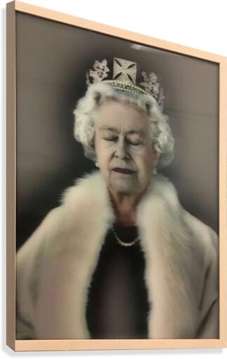 362 Canvas Print
