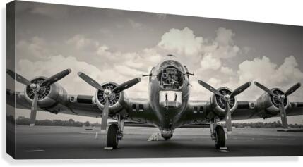 369 Canvas Print