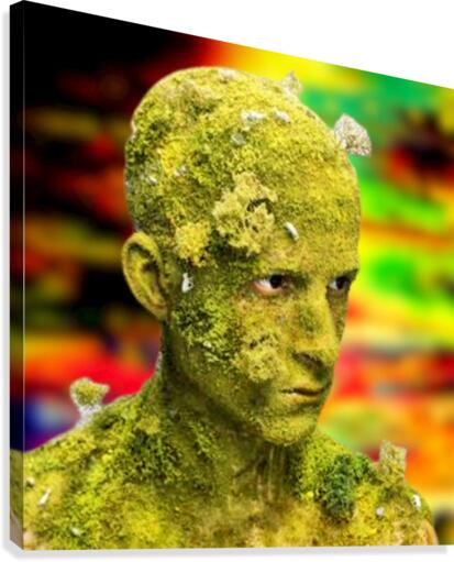 371 Canvas Print