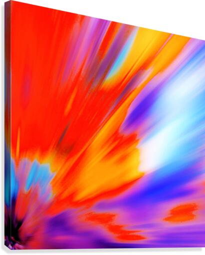 372 Canvas Print