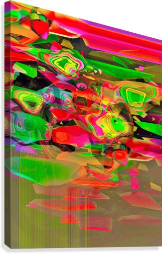 373 Canvas Print