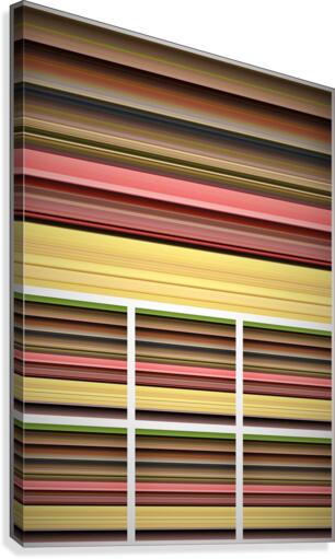 376 Canvas Print