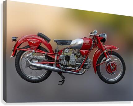393 Canvas Print