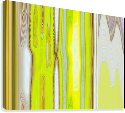 404 Canvas Print