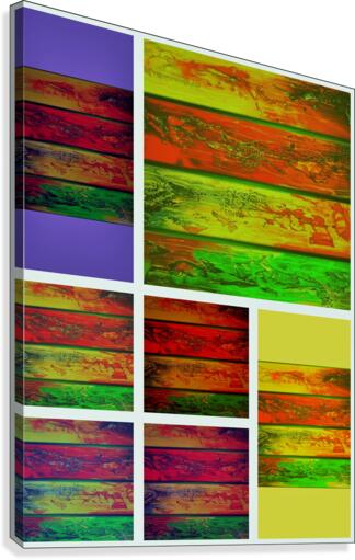 431 Canvas Print