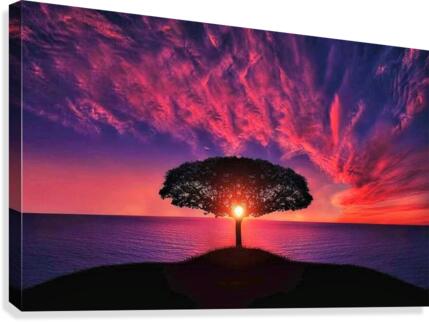 444 Canvas Print