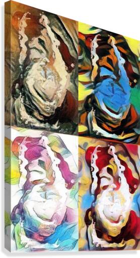 451 Canvas Print