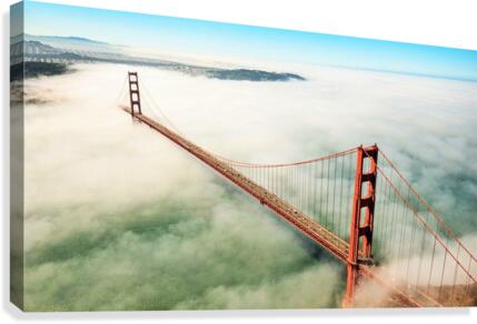 458 Canvas Print