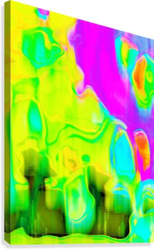 462 Canvas Print