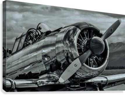 480 Canvas Print