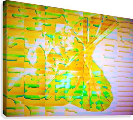 495 Canvas Print