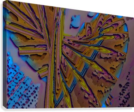 512 Canvas Print