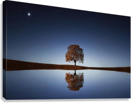 526 Canvas Print