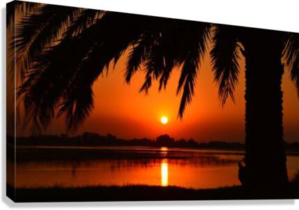 528 Canvas Print