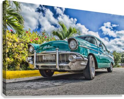 529 Canvas Print
