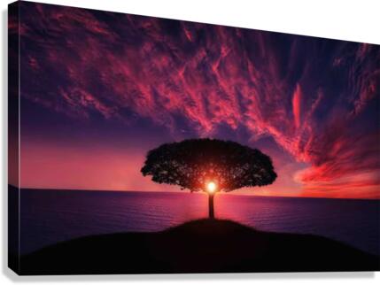 533 Canvas Print