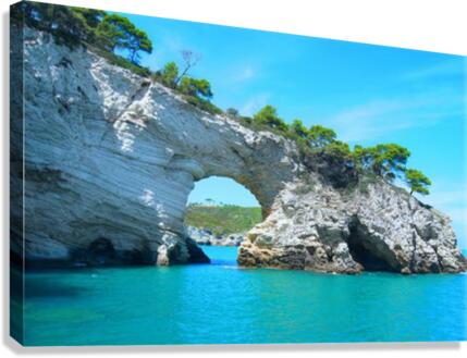 534 Canvas Print