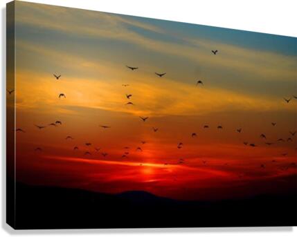 535 Canvas Print