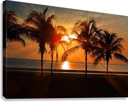 538 Canvas Print