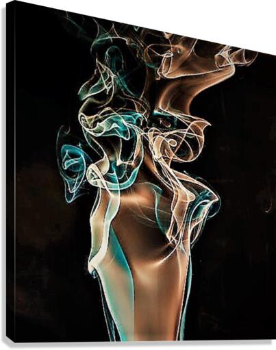 543 Canvas Print
