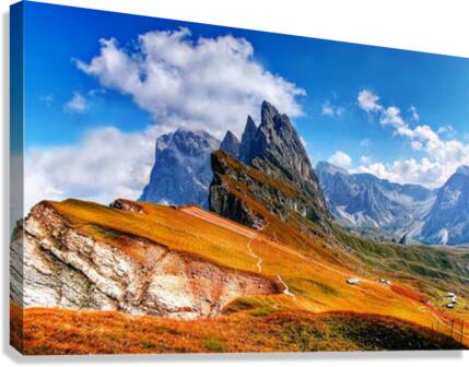 547 Canvas Print