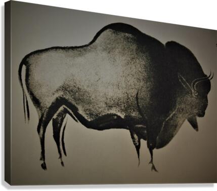 557 Canvas Print