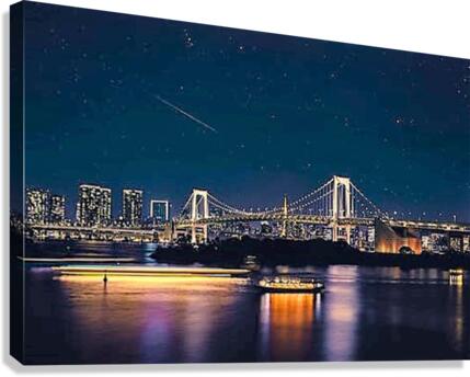 579 Canvas Print