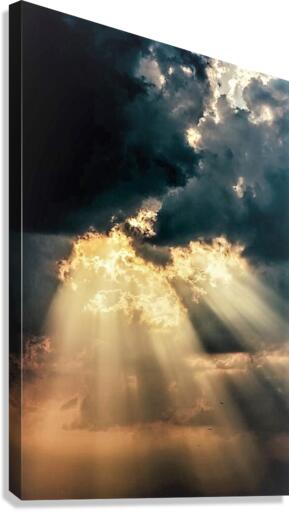 580 Canvas Print