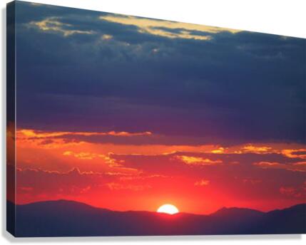 582 Canvas Print