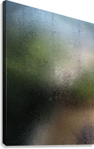 583 Canvas Print