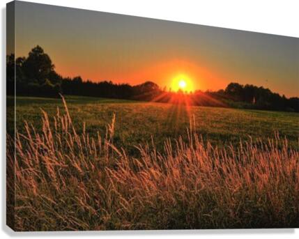 584 Canvas Print