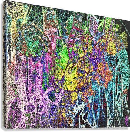 585 Canvas Print