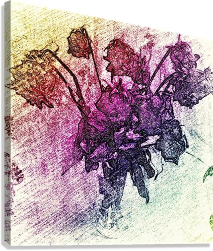 602 Canvas Print
