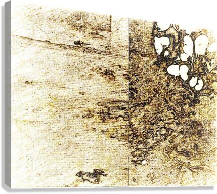 608 Canvas Print