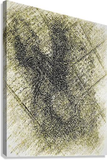 609 Canvas Print